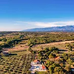 Oliveto