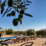 Oliveto *