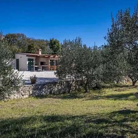 Oliveto