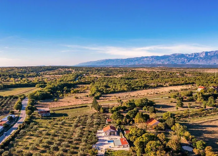 Oliveto