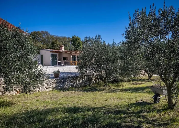 Oliveto