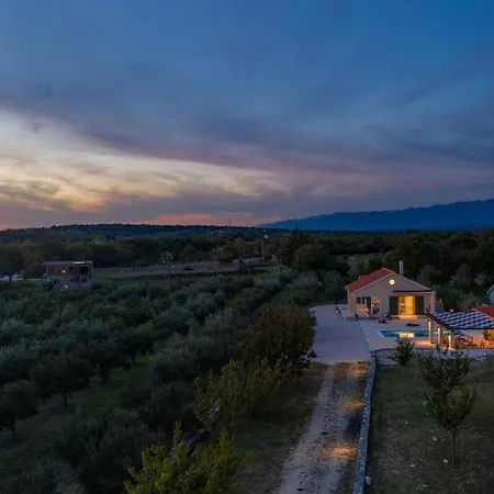 Oliveto