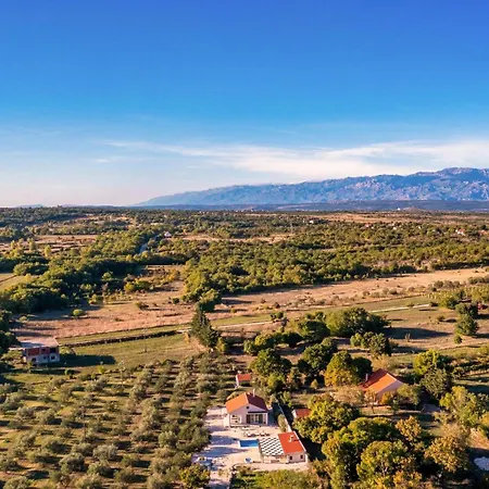 Oliveto