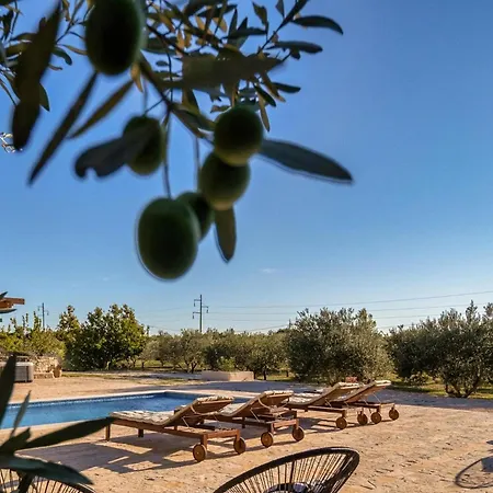 Casa de Férias Oliveto